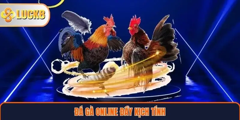 Đá gà online đầy kịch tính